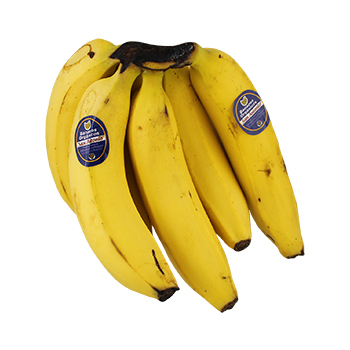 Banano Criollo Organico